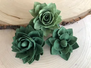 12 Green Delicate Wood Succulents Assortment