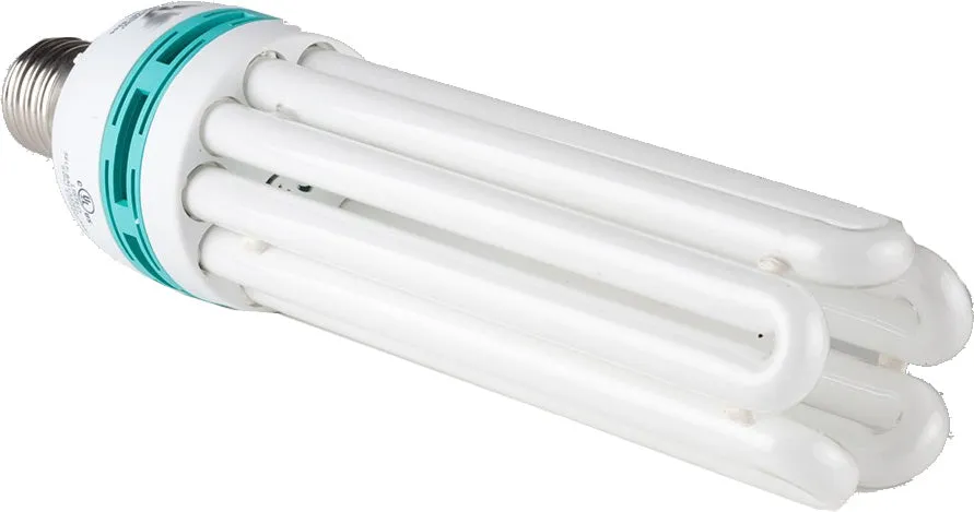 125W SunBlaster CFL 6400K (12/cs)