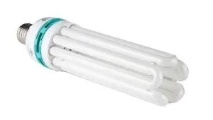 125W SunBlaster CFL 6400K (12/cs)