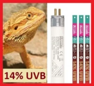 Arcadia T5 HO 14% UVB Bulb