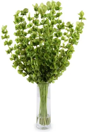 Bells of Ireland Vase