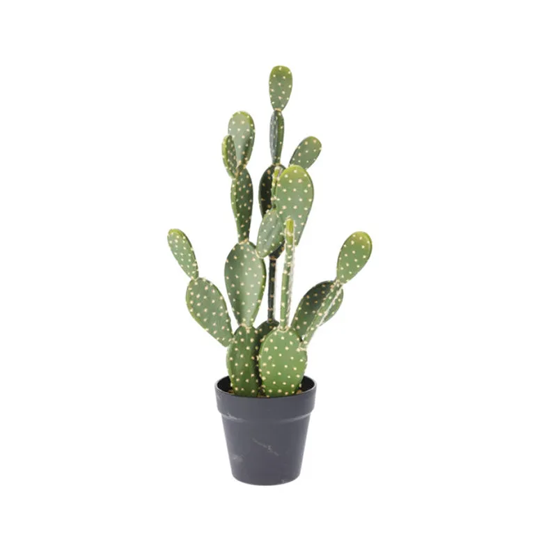 Cactus in Pot 56CM