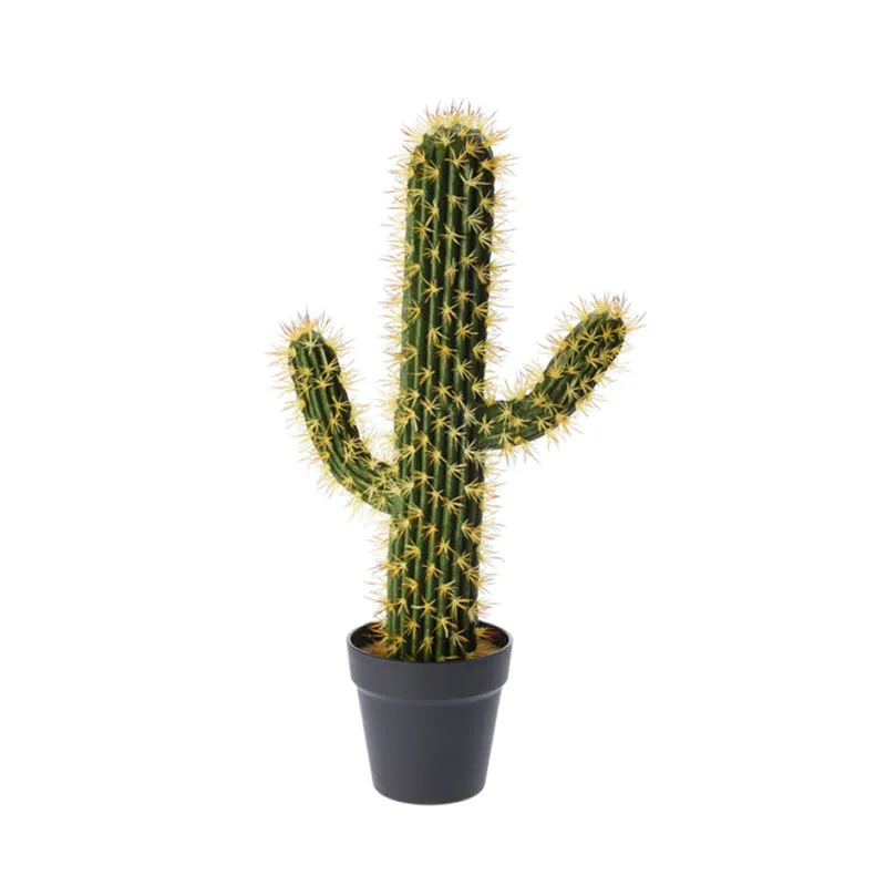 Cactus in Pot 56CM