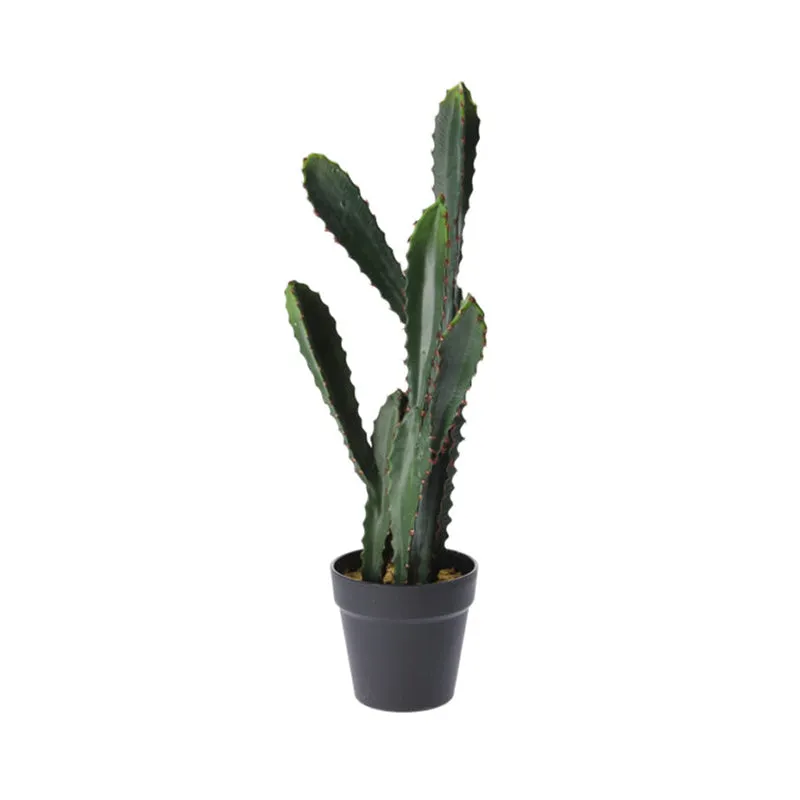 Cactus in Pot 56CM