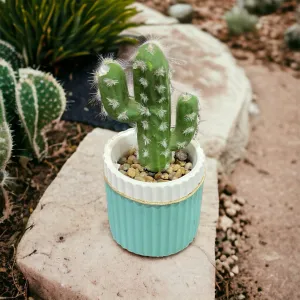 Cemented Lined Flower Pot with Jute Rope