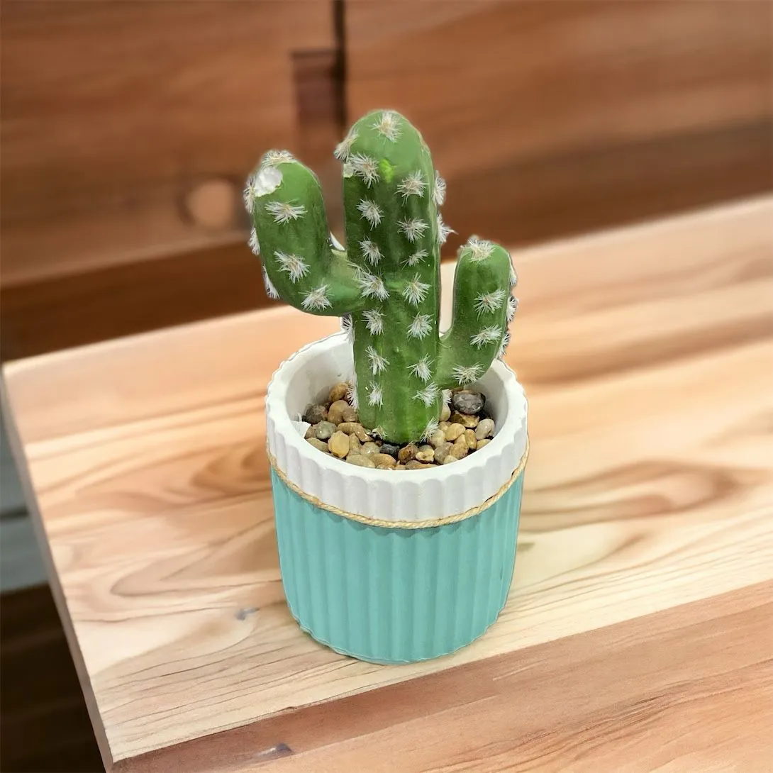 Cemented Lined Flower Pot with Jute Rope