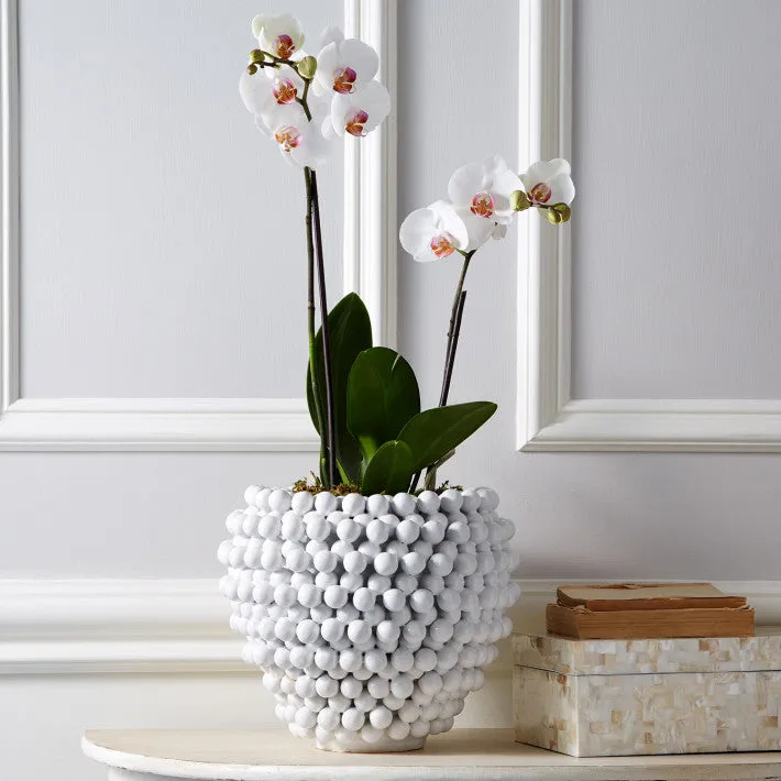 CERAMIC VASE/PLANTER