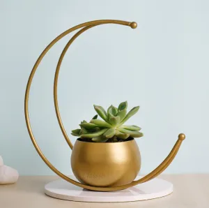 Classyo Geometric Decorative Metal Round Shape Flower Vase for Home Decoration, Centre Table Decoration Piece, Golden Vase for Home Decor, 9 Inch