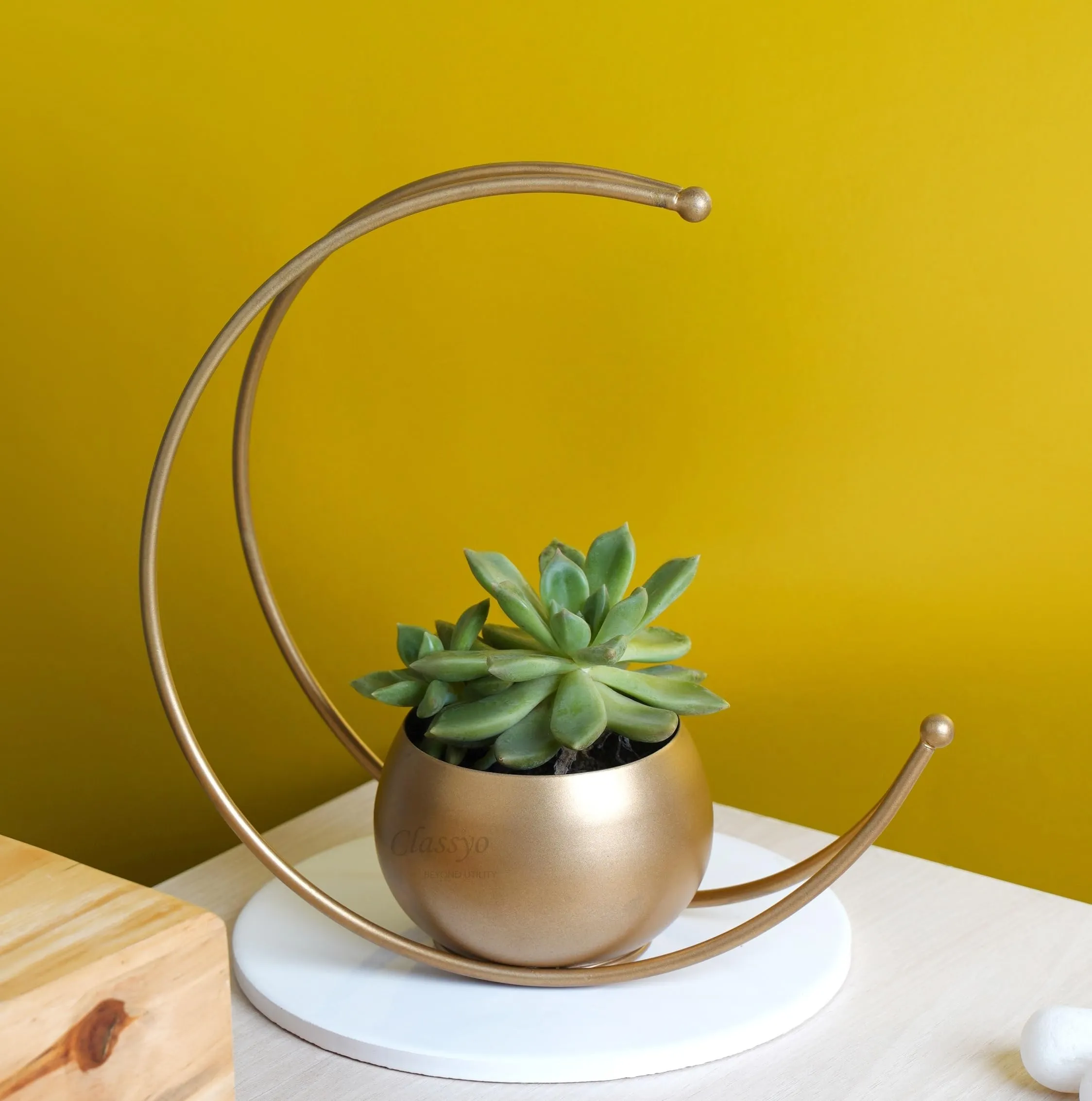 Classyo Geometric Decorative Metal Round Shape Flower Vase for Home Decoration, Centre Table Decoration Piece, Golden Vase for Home Decor, 9 Inch