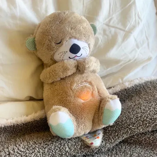 Cozy Comfort Baby Otter