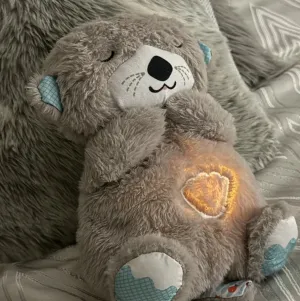 Cozy Comfort Baby Otter