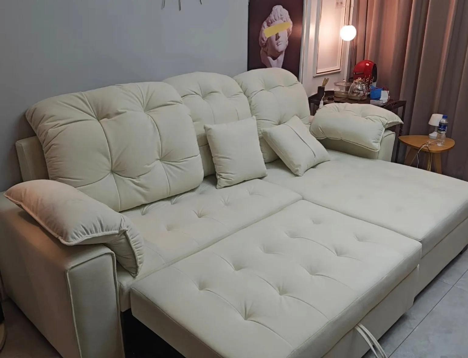 Craig Scratch Resistant Sofa Bed