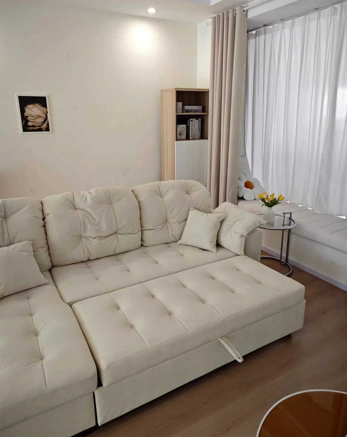 Craig Scratch Resistant Sofa Bed