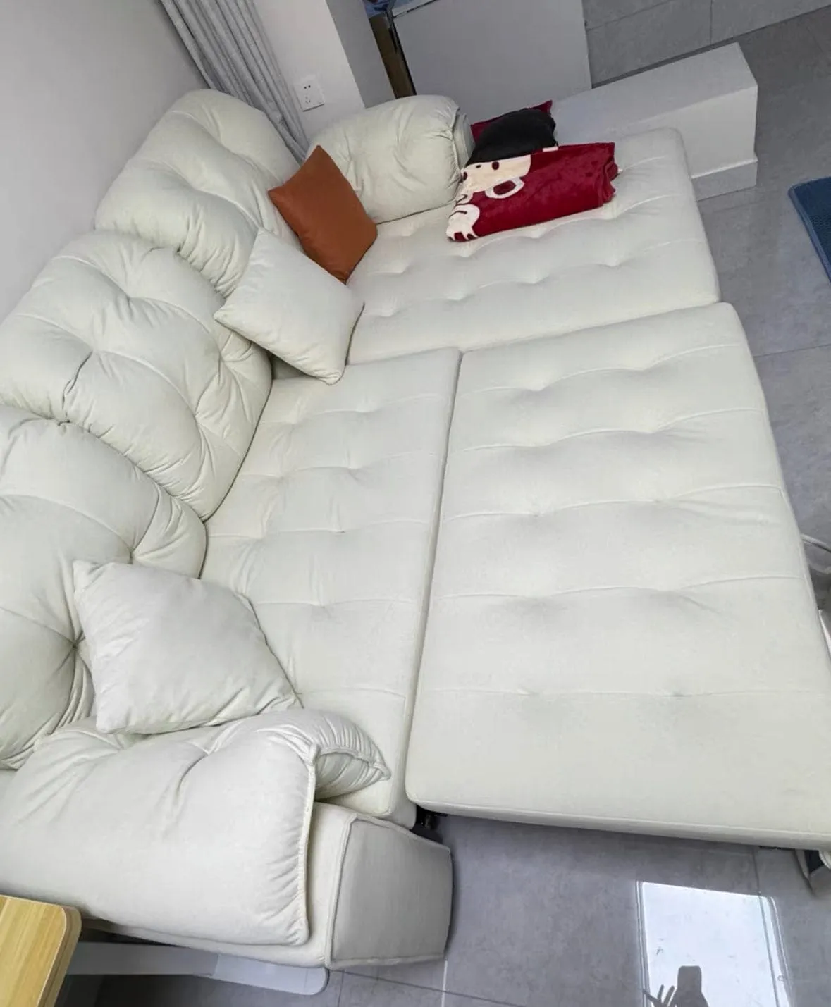 Craig Scratch Resistant Sofa Bed