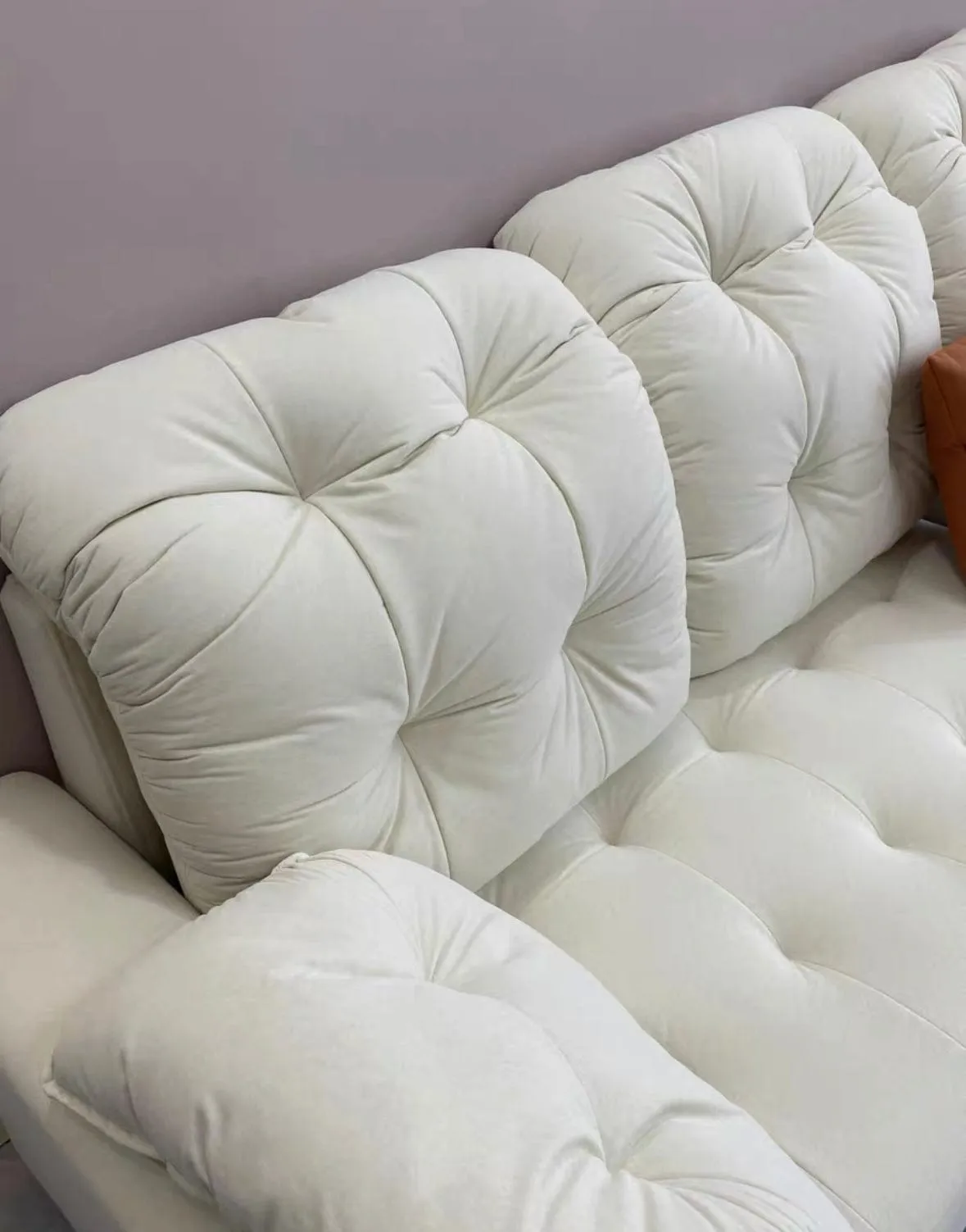 Craig Scratch Resistant Sofa Bed
