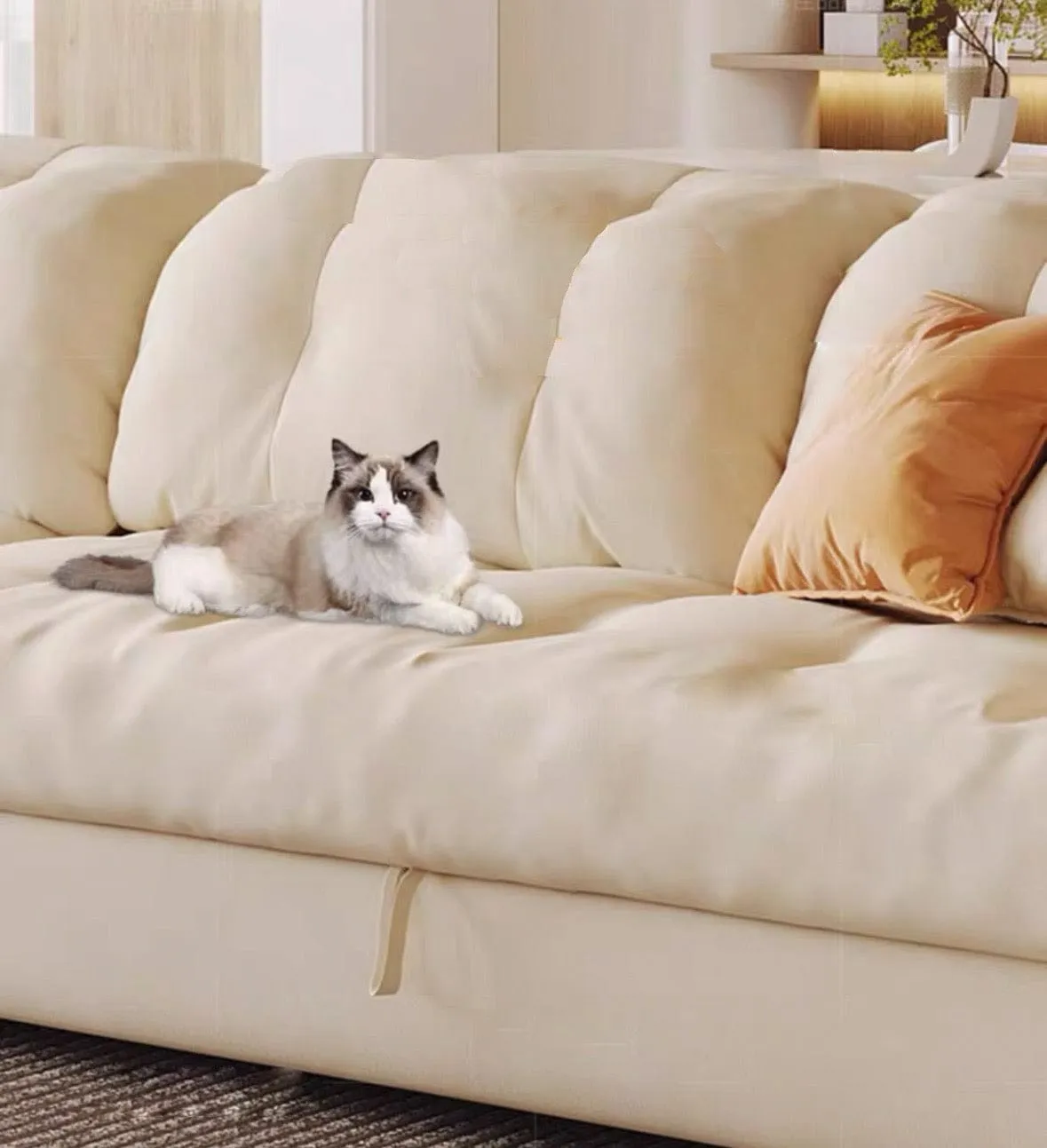 Craig Scratch Resistant Sofa Bed