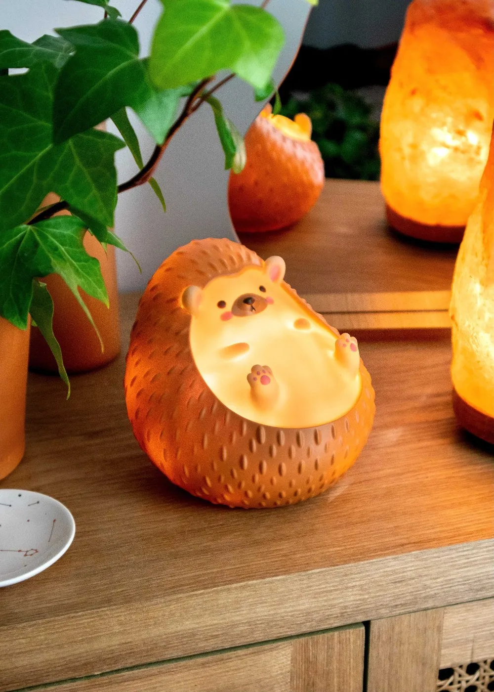 Heji Hedgehog Night Light