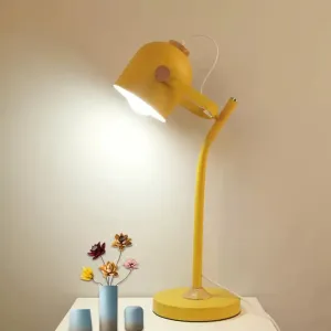 Macaron Desk Light: Stylish and Rotatable, Metal Reading Light for Study Room