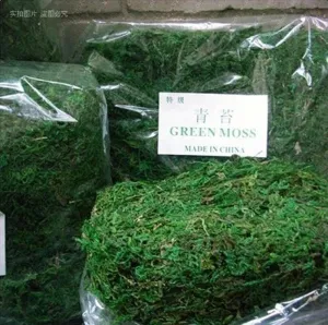 New 10g/bag Keep Dry Real Green Moss Decorative Plants Vase Artificial Turf Silk Flower Accessories For Flowerpot Decoration