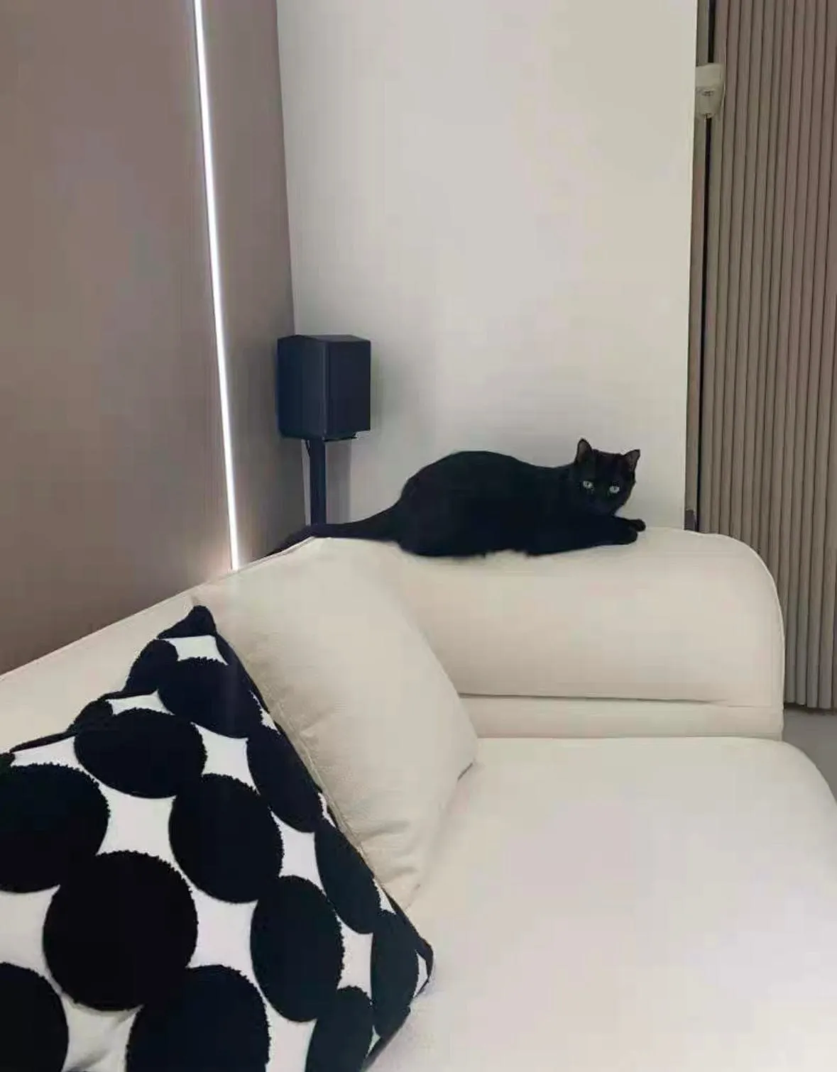 Nordin Scratch Resistant Curve Sofa