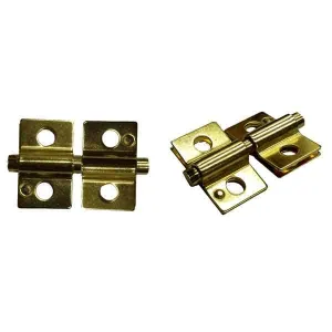 Pivot Mirror Hinges