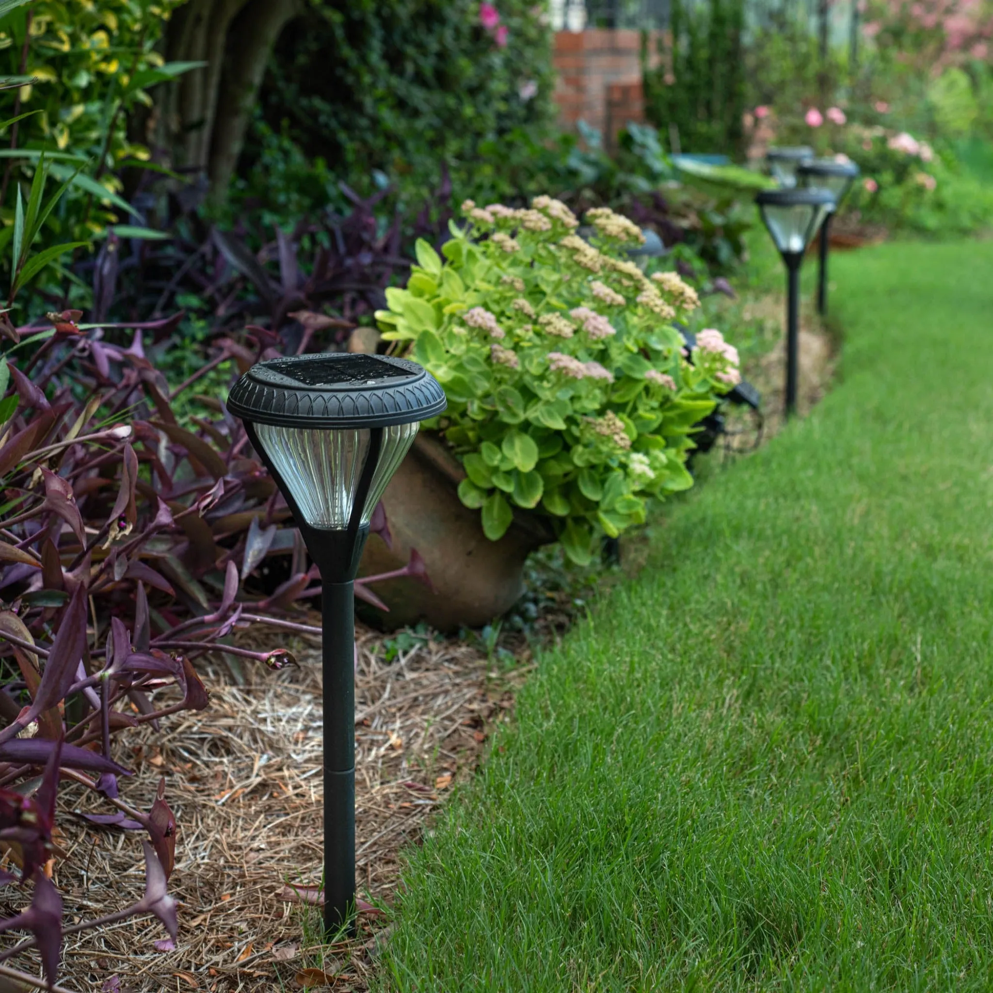 Premier Garden Pathway Dual Color Light, 3100K or 6000K