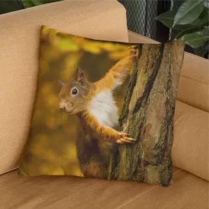 Red Squirrel Chasing Through The Woodland On An Autumn Day Cushion