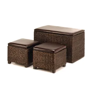 Rush Trunk & Ottomans