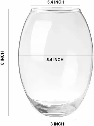 SPHINX Convex Shape Oval Shape Decorative Glass Vase for Flowers Live Plants Bamboo Money Plants Home Decor Office Living Room Table Decorations, Vases for home decor,Gift - (Height 8 Inches, 1 Piece)